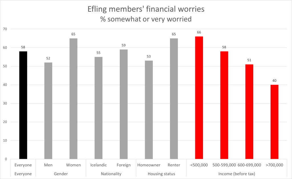 A majority of Efling members has financial worries
