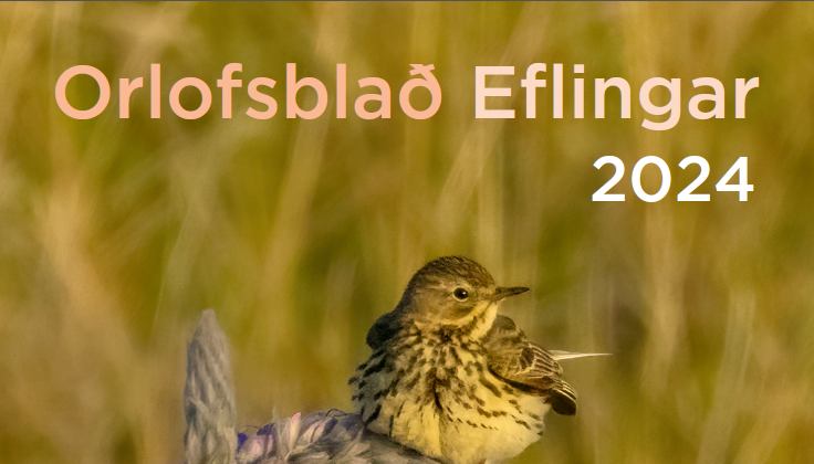 Orlofsblað Eflingar 2024