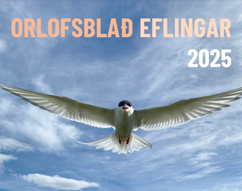 Orlofsblað Eflingar 2025